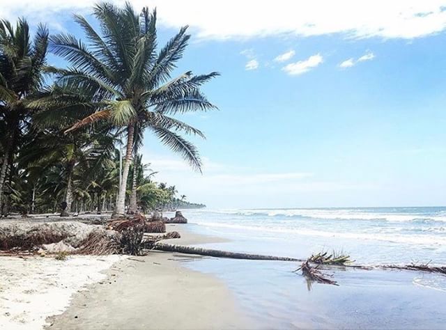 ★ PORTETE – MOMPICHE – ESMERALDAS
By : @aldazjavier
#Portete #Mompiche #ProvinciaDeEsmeraldas #EcuadorPotenciaTuristica #EcuadorIsAllyouNeed #EcuadorTuristico #EcuadorAmaLavida #EcuadorPrimero #Ecuador #SoClose #LikeNoWhereElse #ViajaPrimeroEcuador #AllInOnePlace #AllYouNeedIsEcuador #PaisajesEcuador #PaisajesEcuador593 #FeelAgainInEcuador #Love #Nature_Wizards #Nature_Perfections #Wow_America #World_Shots #WorldCaptures
