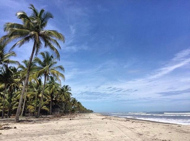 ★ PORTETE – MOMPICHE – ESMERALDAS
By : @gab_loor
#Mompiche #ProvinciaDeEsmeraldas #EcuadorPotenciaTuristica #EcuadorIsAllyouNeed #EcuadorTuristico #EcuadorAmaLavida #EcuadorPrimero #Ecuador #SoClose #LikeNoWhereElse #ViajaPrimeroEcuador #AllInOnePlace #AllYouNeedIsEcuador #PaisajesEcuador #PaisajesEcuador593 #FeelAgainInEcuador #Love #Nature_Wizards #Nature_Perfections #Wow_America #World_Shots #WorldCaptures